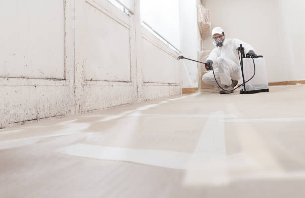 24/7 Emergency Attic Mold Removal experts in Highland Park, TX